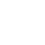 Home 12 BBC News
